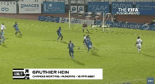 1638201990015087977.gif puskas Gauthier Hein.gif